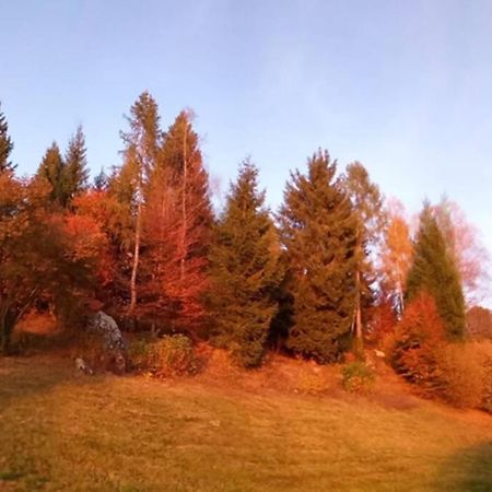 Chalet Maso Fradea Family Resort 卡斯泰洛泰西诺 外观 照片