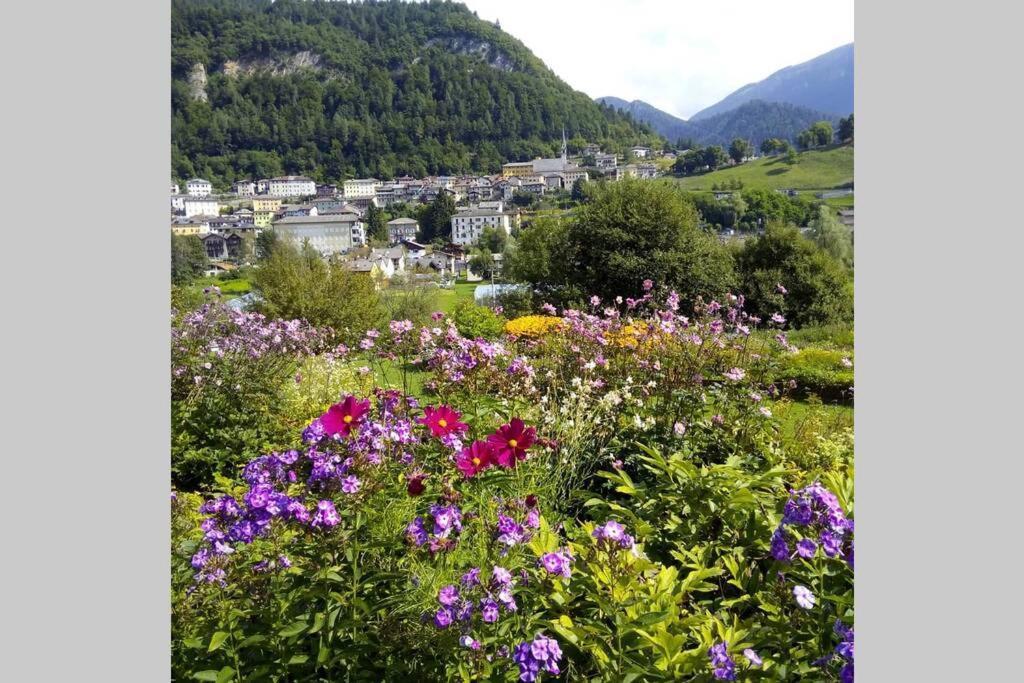 Chalet Maso Fradea Family Resort 卡斯泰洛泰西诺 外观 照片